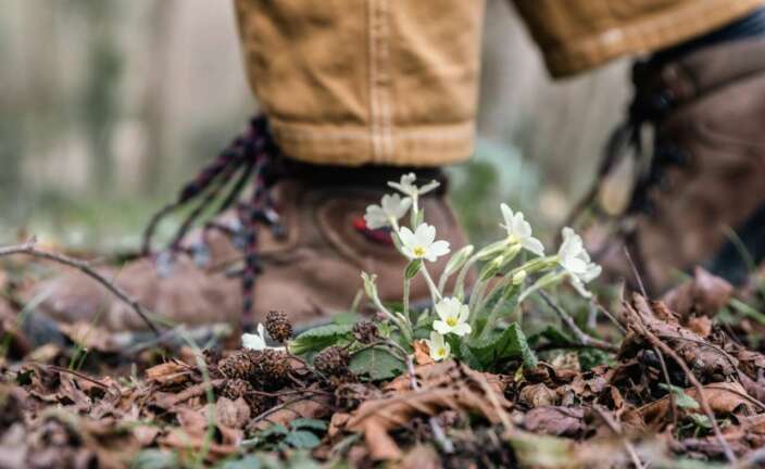 Silvestre, de Planeta Gastro