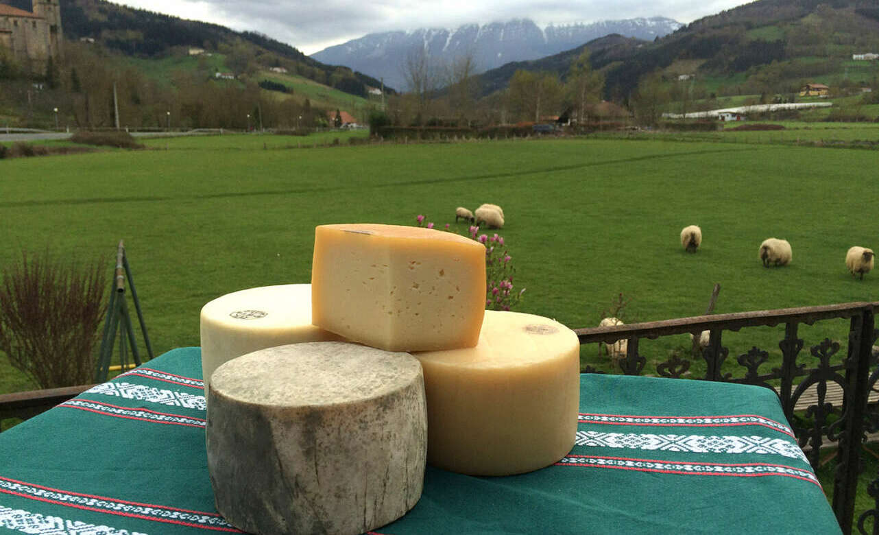 Quesos y ovejas en la ruta del queso Idiazabal