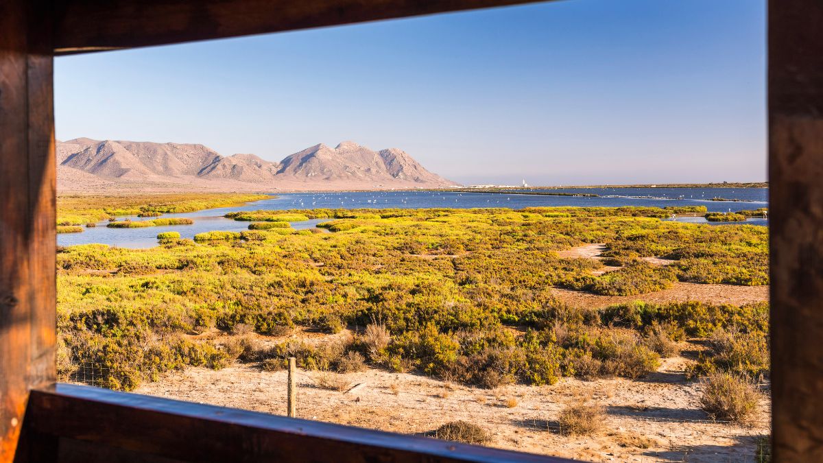 Cabo de gata Níjar.