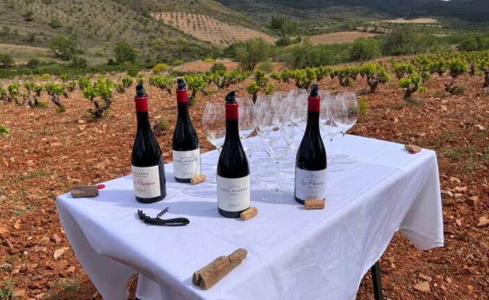 4 vinos de Calatayud