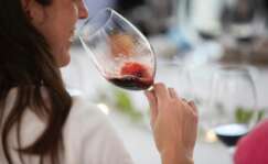 Los vinos tintos también son para el verano