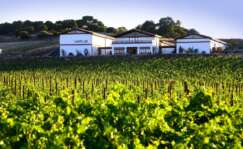 Bodega Vetus, Toro
