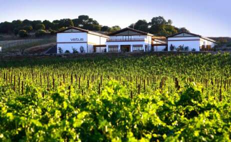 Bodega Vetus, Toro