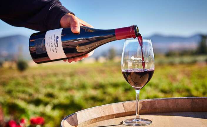 Vino petit verdot