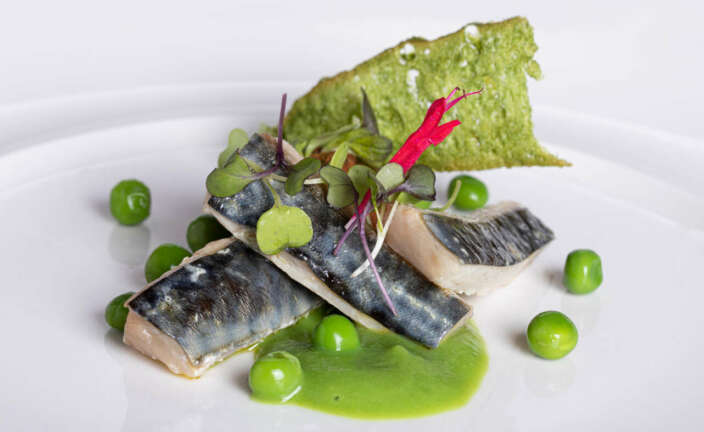 Plato restaurante Enekorri