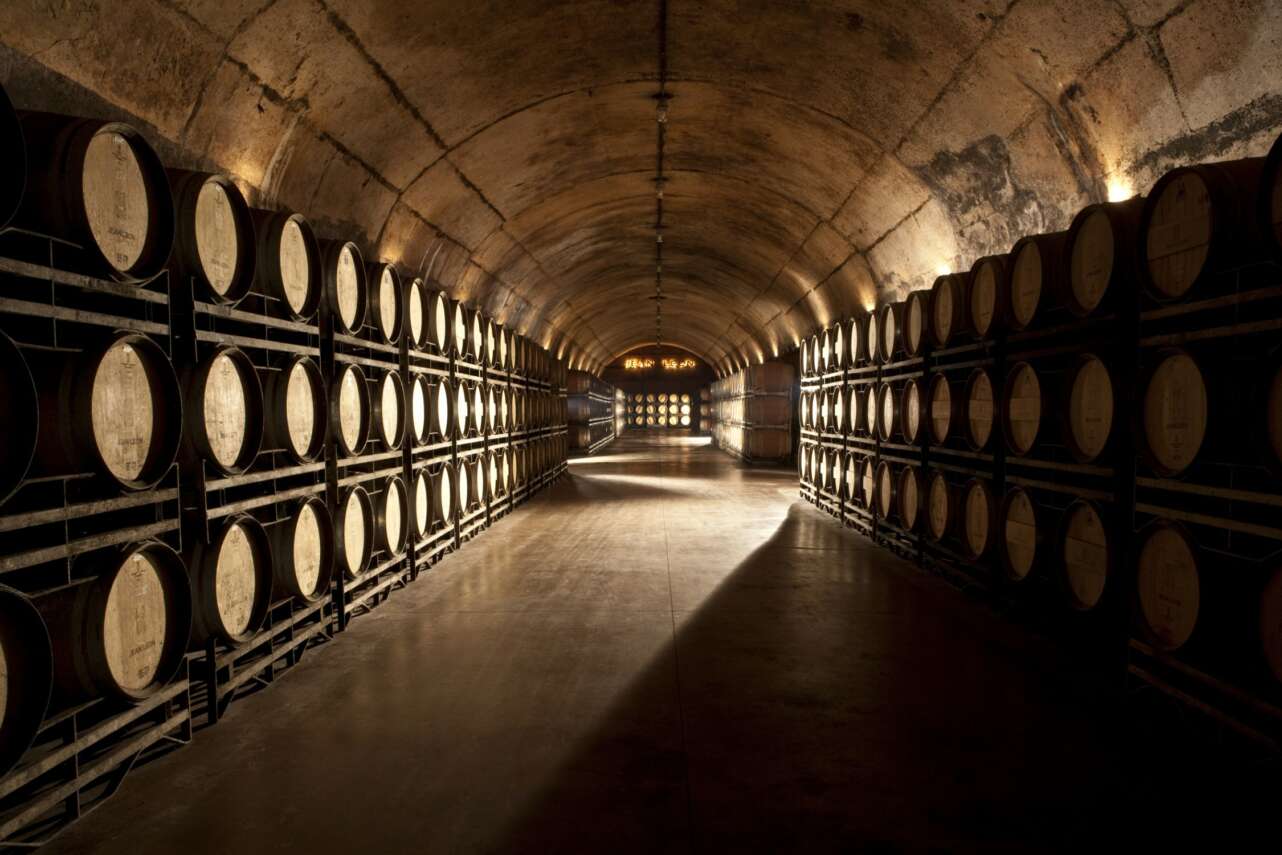 Bodega Jean Leon