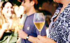 Vinos malvasía