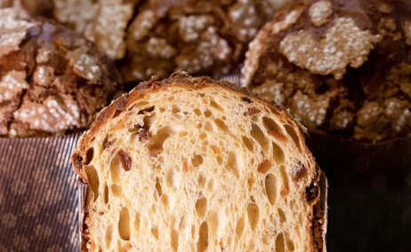Panettone
