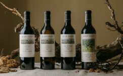 Vinos Jean Leon nuevas etiquetas