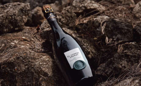 Ganador premios Vinari 2023