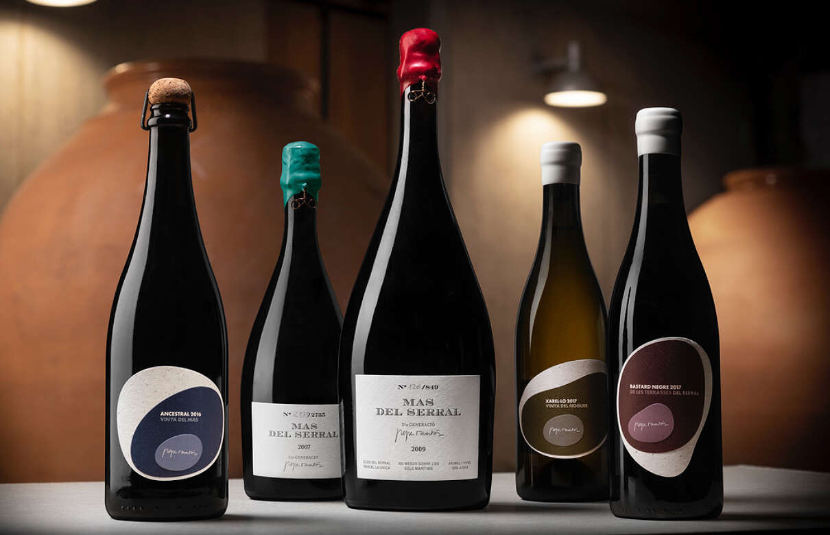 Botellas de vinos ancestrales