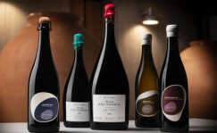 Botellas de vinos ancestrales