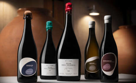 Botellas de vinos ancestrales