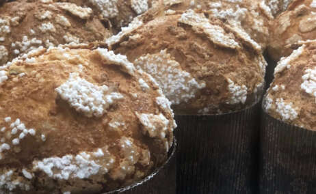 Panettone de Vallflorida Xocolaters