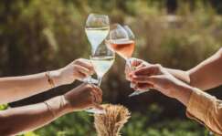 Brindis con copas de diferentes cavas