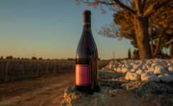 Botella de vino dulce Bassus, de Bodegas Hispano Suizas