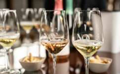 Copas de vinos espumosos de Bodegas NOC