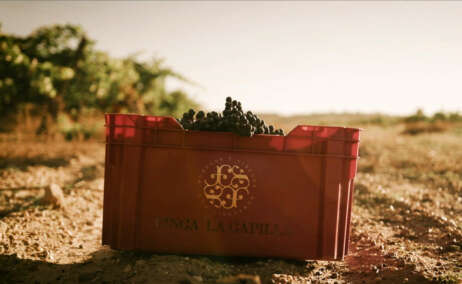 caja uvas merlot de Finca La Capilla