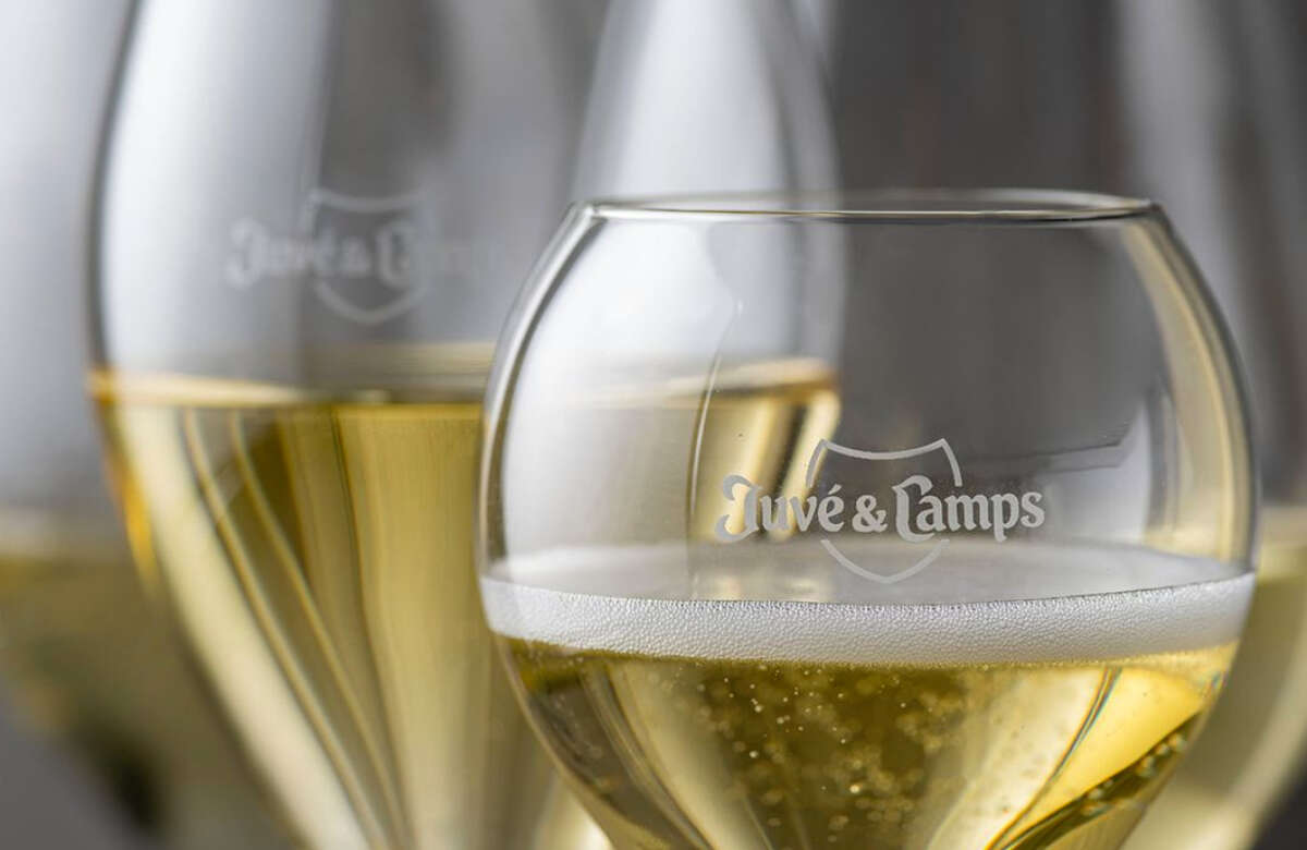 copas de cava de Juve & Camps.