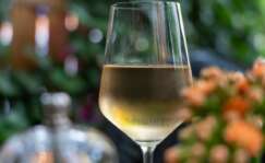 Los mejores albariños para acompañar cualquier plato.