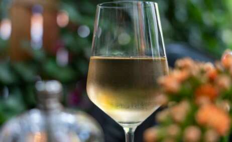 Los mejores albariños para acompañar cualquier plato.