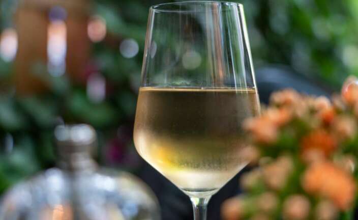 Los mejores albariños para acompañar cualquier plato.