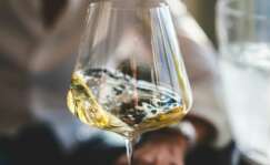 Copa de vino blanco