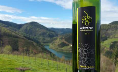 Las vistas desde la Bodega de Txakoli Urkizahar