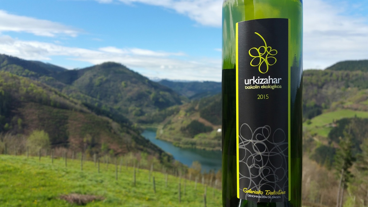 Las vistas desde la Bodega de Txakoli Urkizahar