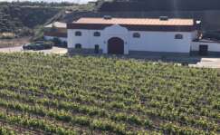La Bodega Muñana en Granada
