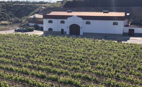 La Bodega Muñana en Granada