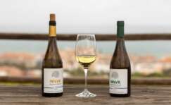 Botellas de vino de la Bodega Nilva
