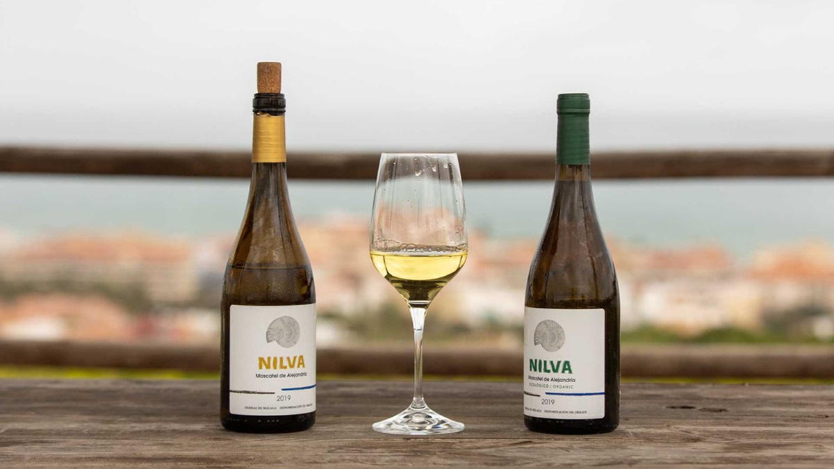 Botellas de vino de la Bodega Nilva