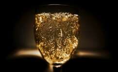 Una copa de champagne con burbujas