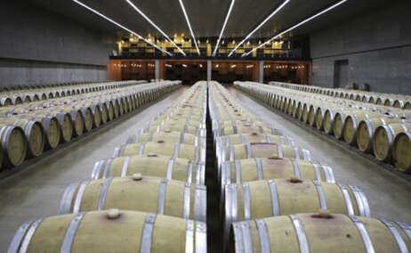 Una de las bodegas de la Ruta del Vino de Arlanza