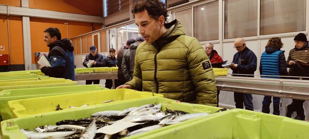 Aldo Brambilla en la lonja de Santoña seleccionando el género