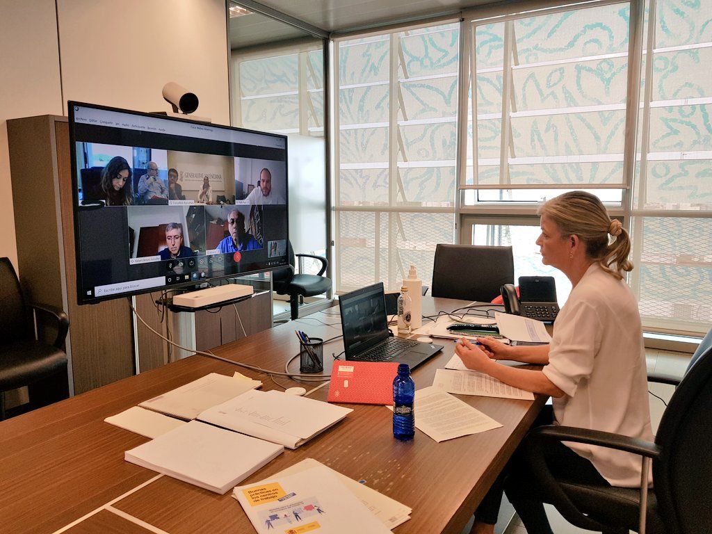 La consellera Bravo en una videoconferencia. GVA.