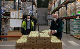 Los hogares valencianos en carencia de material severa se disparan un 10% 7 banco alimentos