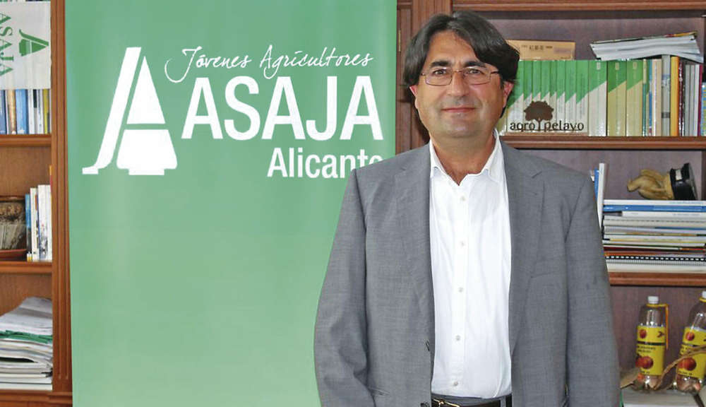 José Vicente Andreu, presidente de Asaja Alicante