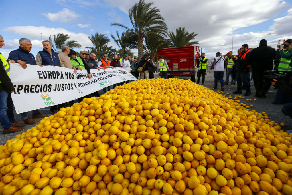 GRAFCVA8389. SAN ISIDRO DE ALBATERA (ALICANTE), 16/02/2024.- Agricultores de la comarca de la Vega Baja del Segura protestan en San Isidro de Albatera en una jornada donde las movilizaciones se concentran en la provincia y Santander. EFE / Manuel Lorenzo