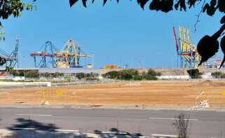 Parcela de MSC en la ZAL del Puerto de Valencia.