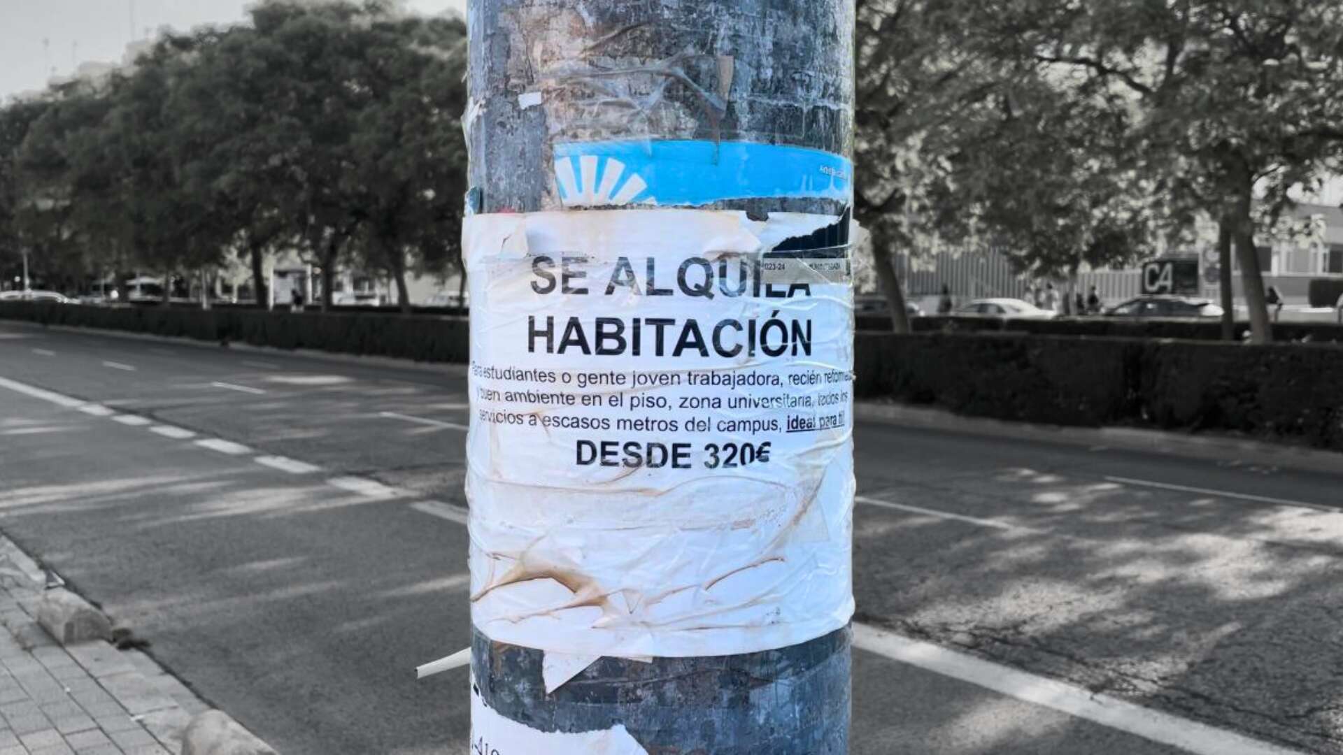 Un poste en Valencia que vende una habitación de alquiler