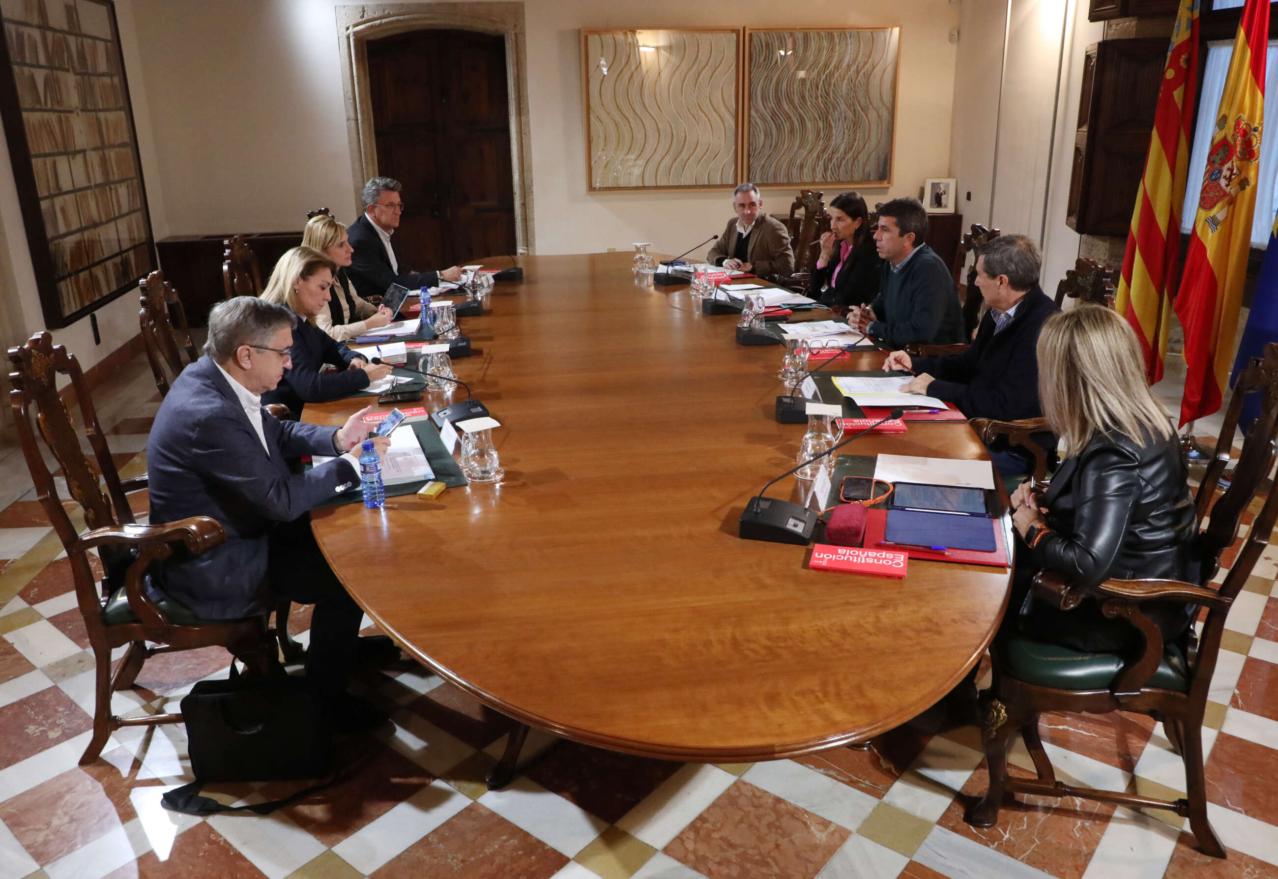Pleno del Consell
