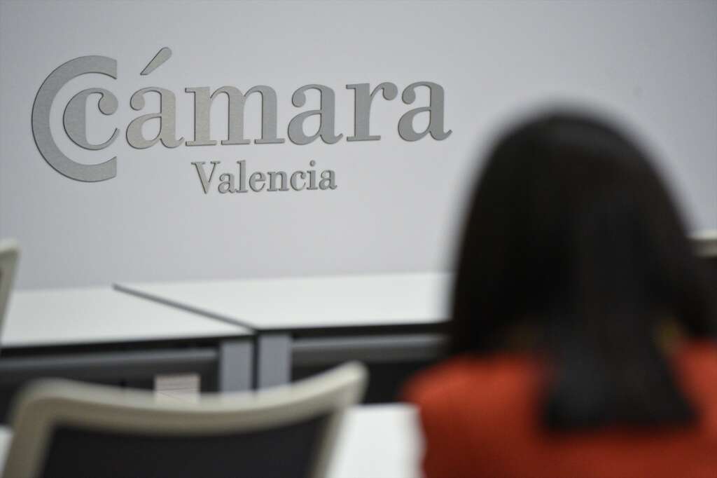 Camara valencia / plataforma dana