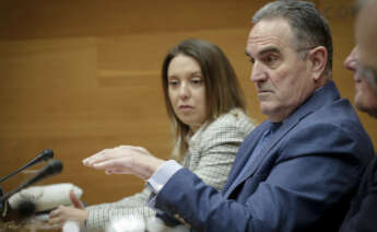 El vicepresidente segundo y conseller para la Recuperación Económica y Social de la Comunitat Valenciana, Francisco José Gan Pampols, en Les Corts. Foto: José Cuéllar/Corts Valencianes