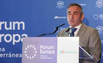 Miguel Barrachina, consellera de Agricultura, Agua, Ganadería y Pesca, durante su intervención en Forum Europa