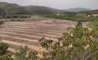 Graves daños ocasionados en la agricultura y ganadería tras el paso de la DANA. Europa Press