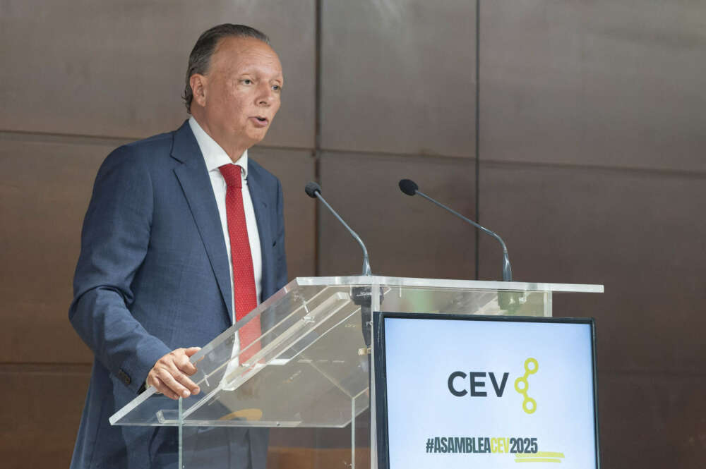 Salvador Navarro, presidente de la CEV