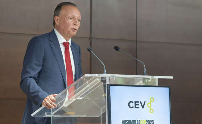 Salvador Navarro, presidente de la CEV