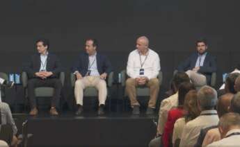 Mesa redonda moderada por Pedro Fresco, de Avaesen, y con la intervención de Rafael Mallo, Gestión de la Energía en Iberdrola; Guillermo Roth, subdirector de Statkraft España; Pablo de la Cuadra, CPO de Turbo Energy; Nuria Ester Fernández, Head of Energy Management de Prosolia, y Christian Soler, Applications & Product Director de Power Electronics.